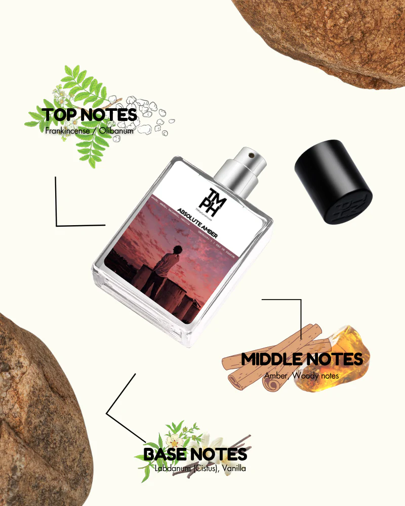 Absolute Amber – Inspired Perfume | TMPerfumehouse - Image 4