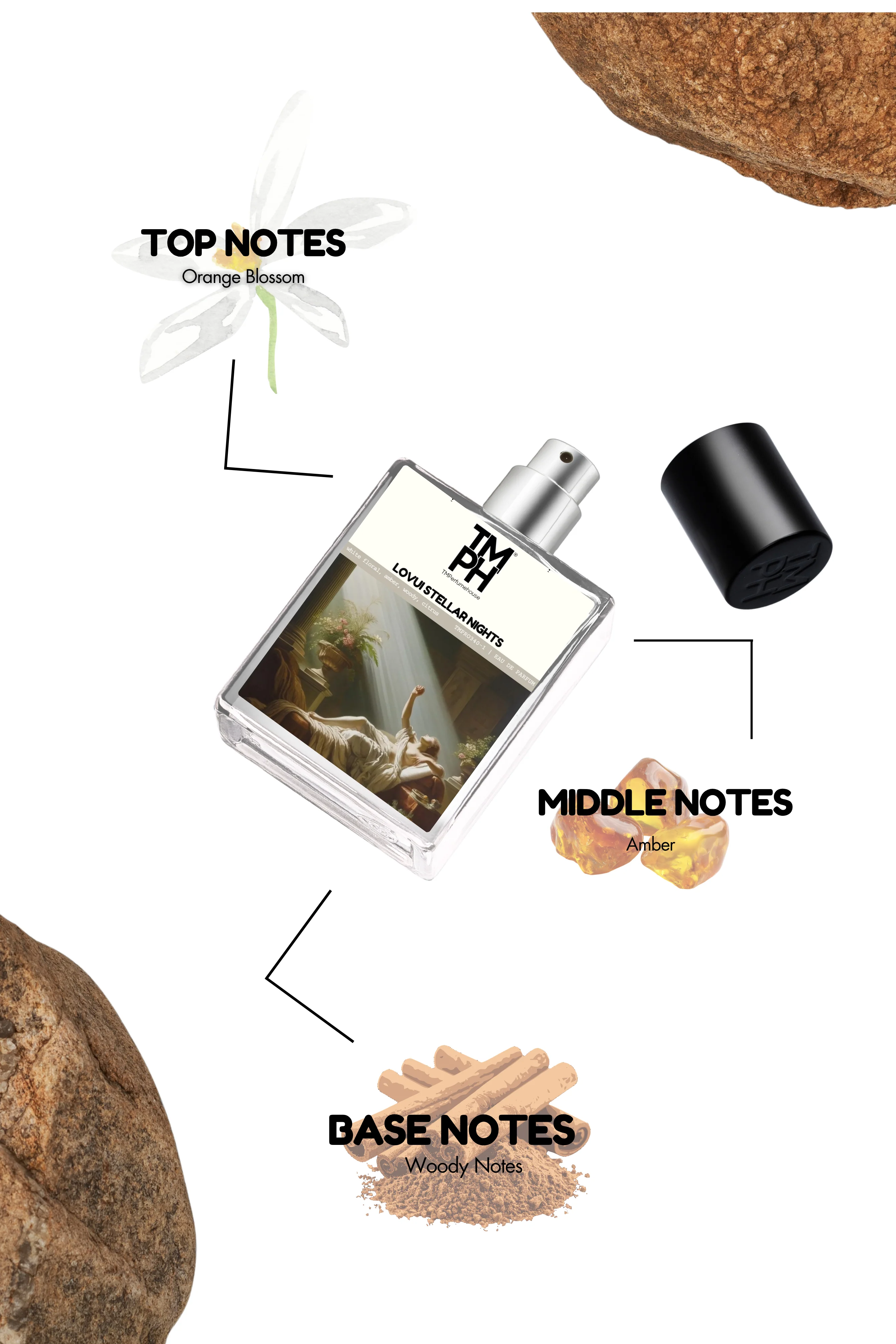 Lovui Stellar Nights - Inspired Perfume | TMPerfumehouse - Image 4