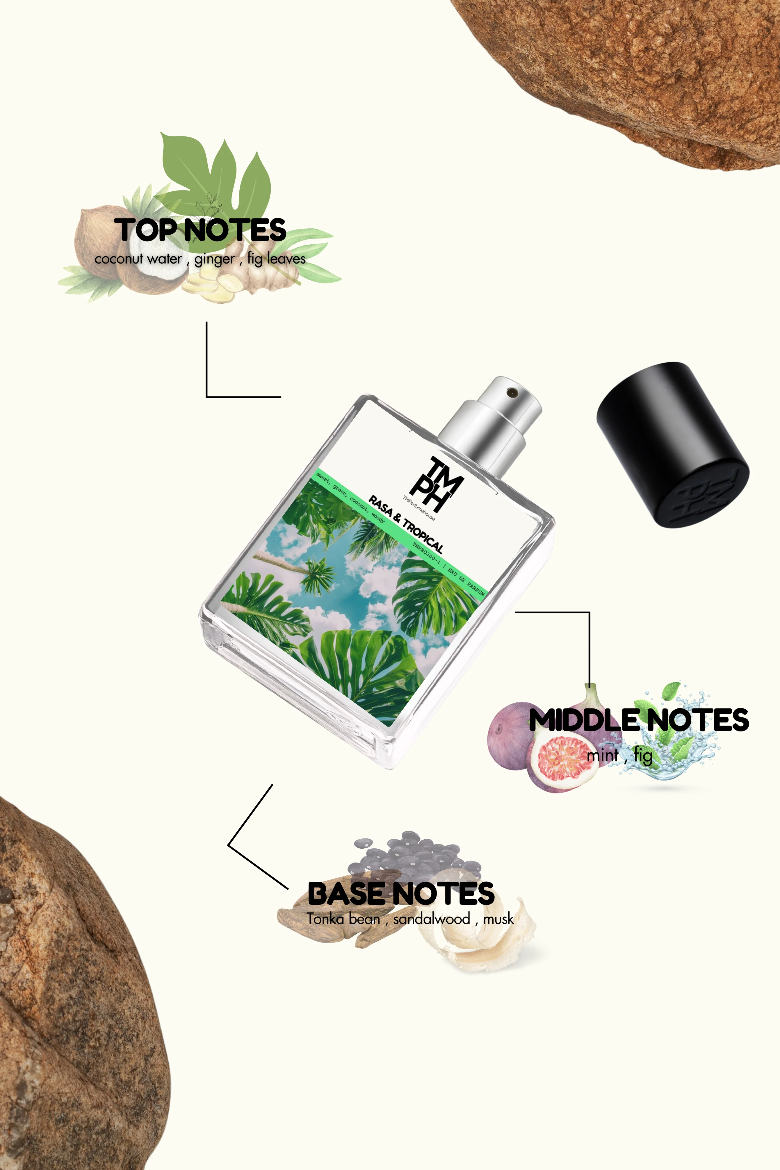 Rasa & Tropical - Inspired Perfume | TMPerfumehouse - Image 4