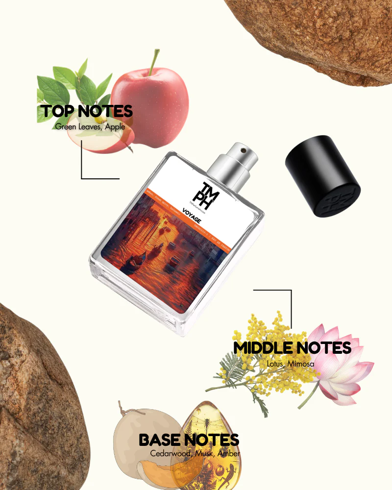 Voyage – LG Inspired Perfume | TMPerfumehouse - Image 3
