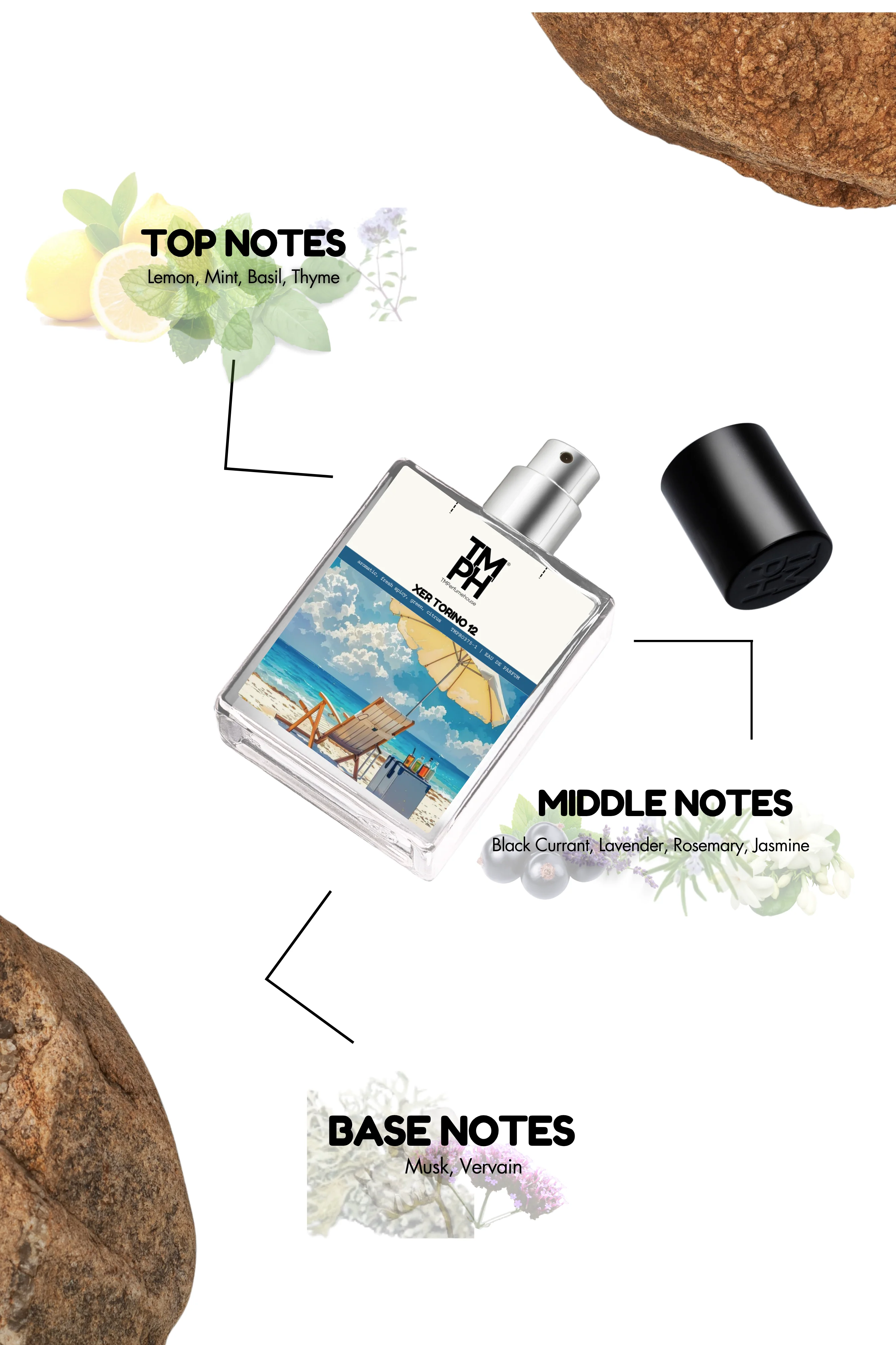 Xer Torino 12 - Inspired perfume | TMPerfumehouse - Image 4